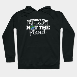Destroy the patriarchy not the planet Hoodie